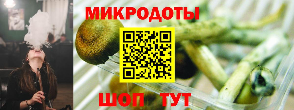 Карабулак  Псилоцибиновые грибы Psilocybe  Вход с VPN 